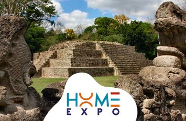 home expo